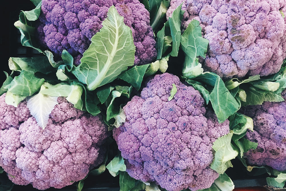 Detoxing myths, debunked