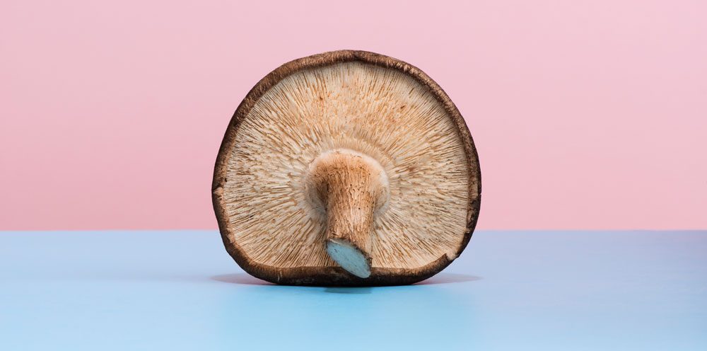 The benefits of medicinal mushrooms
