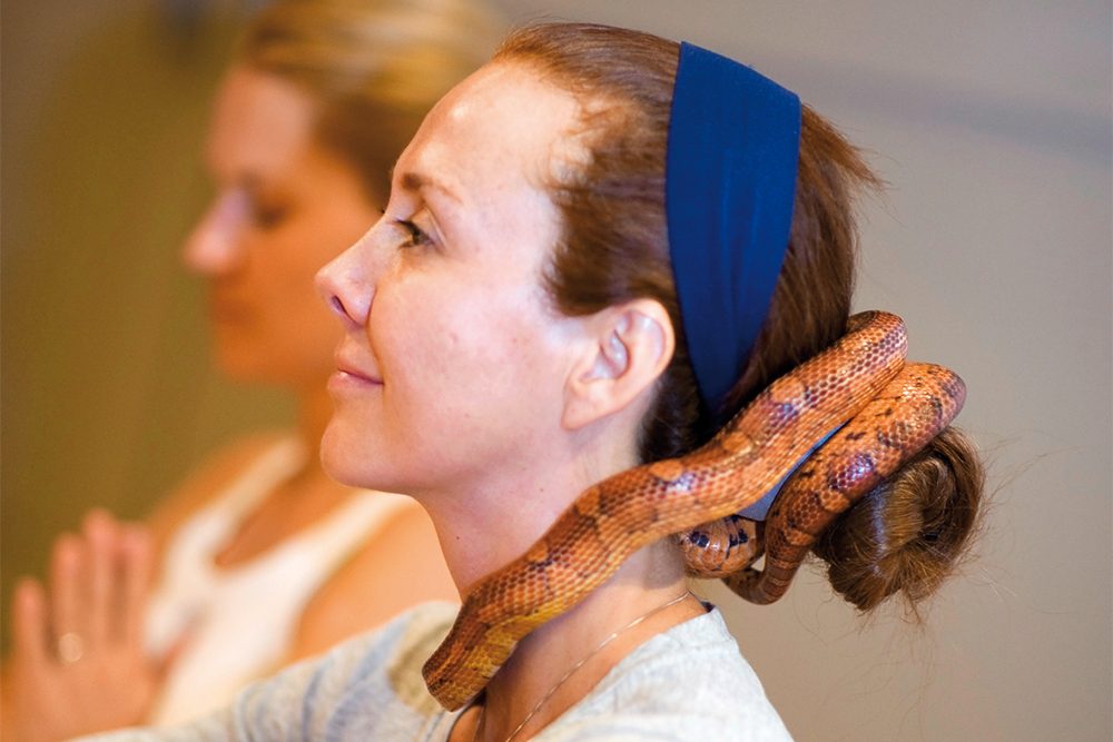 4 alternative wellness treatments you won’t believe are a thing
