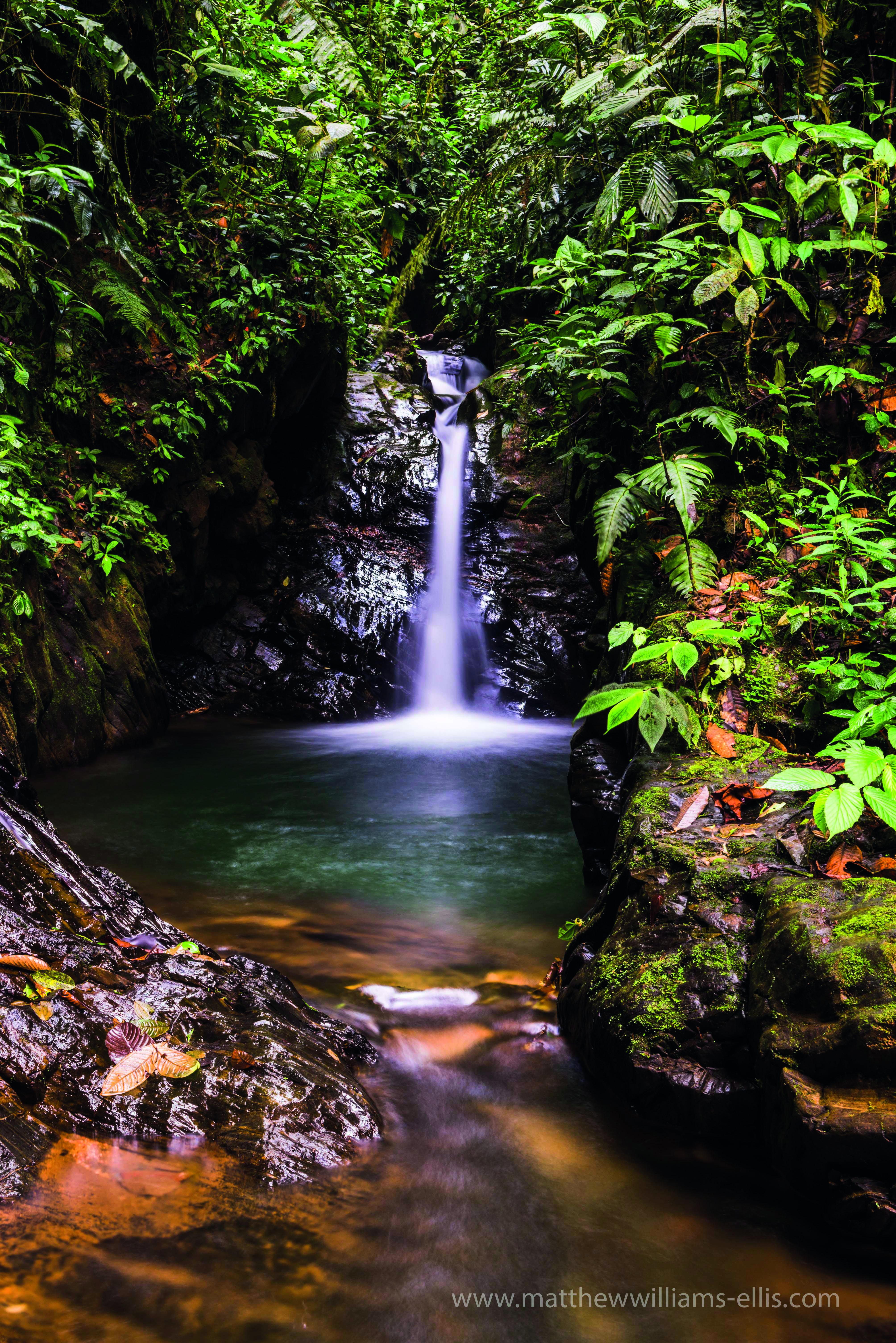 Cucharillos Waterfall in the Choco Rainforest, Ecuador. This area of jungle is the Mashpi Cloud Forest in the Pichincha Province of Ecuador, South America