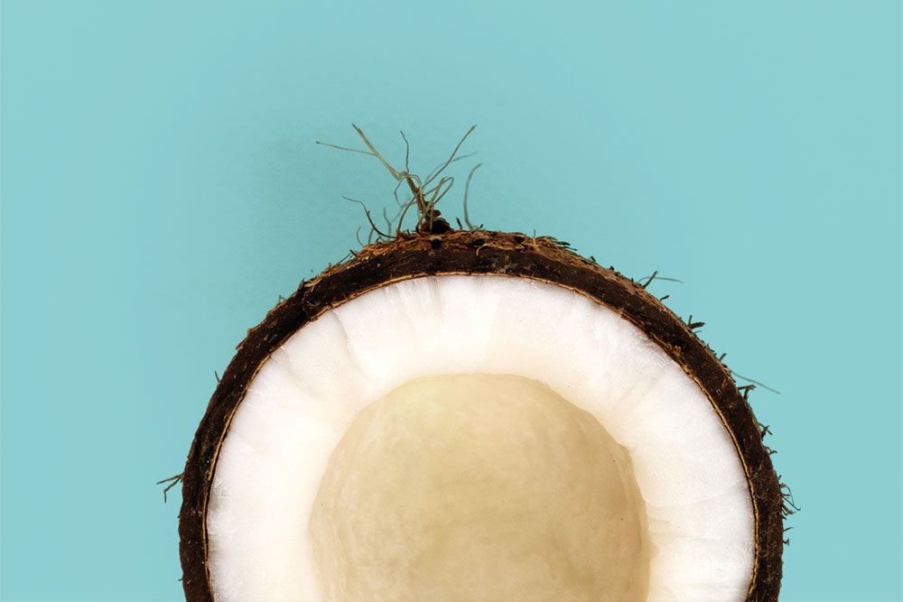 Are coconuts all they’re cracked up to be?
