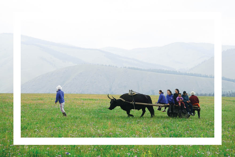 48 hours in Mongolia – your essential itinerary