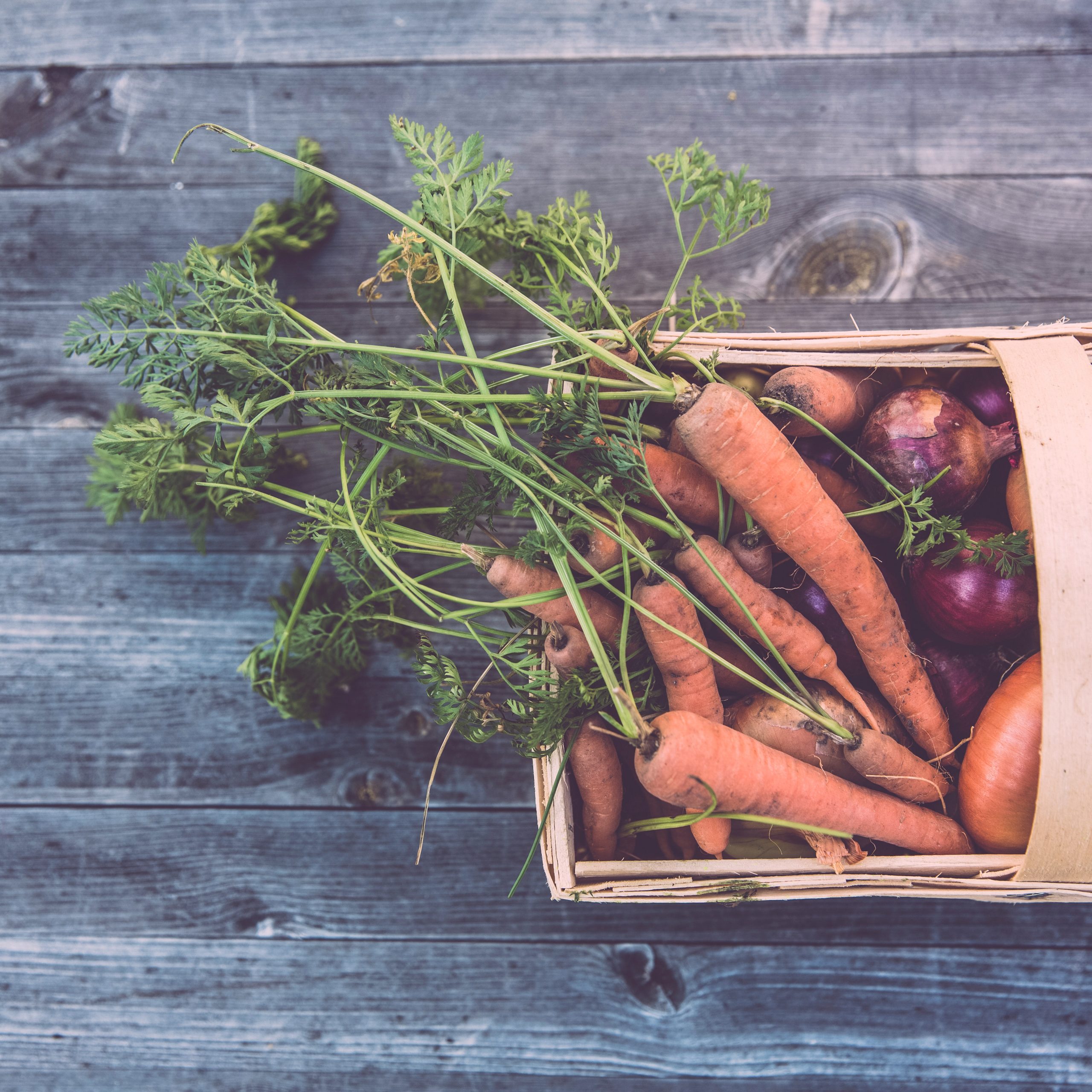 How to shop, eat and cook sustainably – in five easy steps
