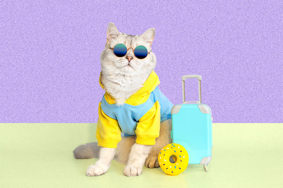 10 Last-Minute Travel Hacks for the Spontaneous (and Smart) Traveller