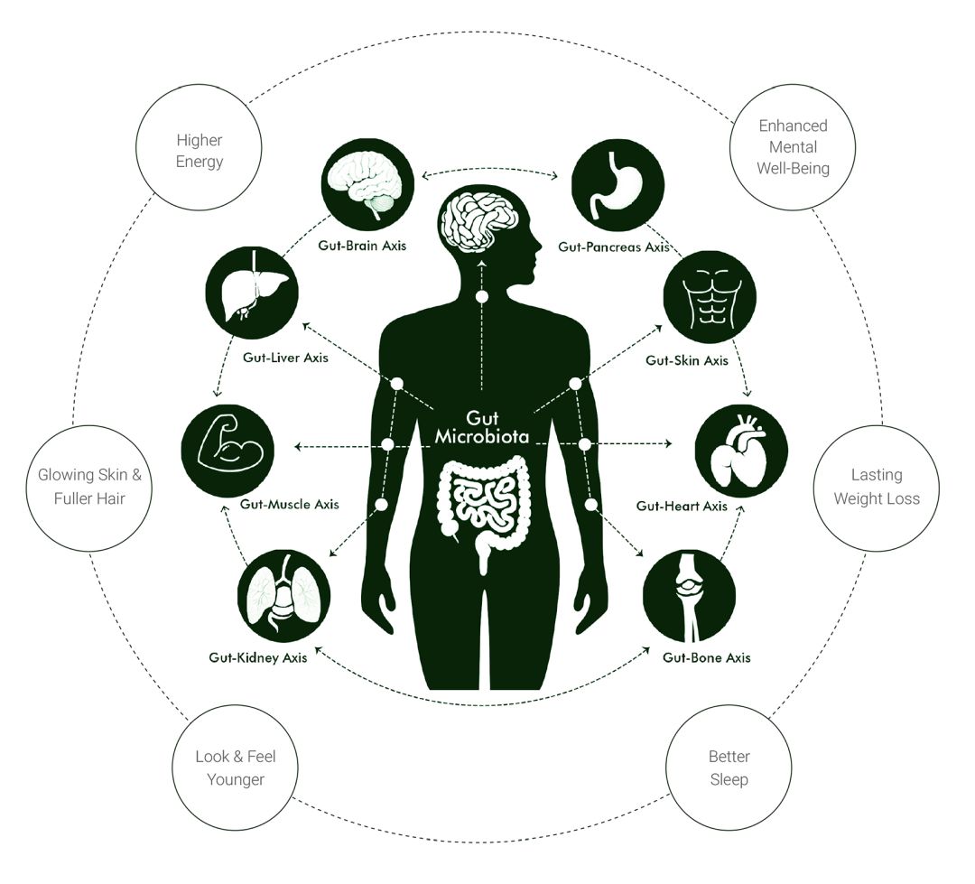 Upgraders_gut_health_Gutjoonis_eng