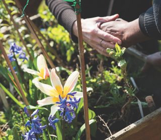 5 reasons why gardening is good for your mental health