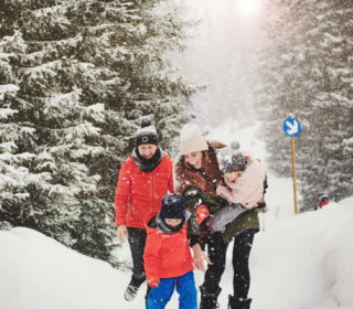 How an Austrian ‘flexiscape’ can rejuvenate your whole family