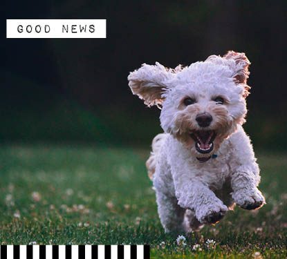 5 Hopeful News Stories to Make you Smile
