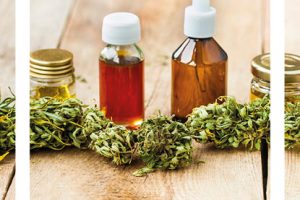 An expert’s guide to CBD