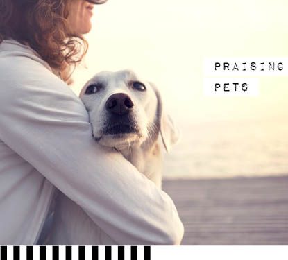 5 ways to spend time with animals and boost your mood