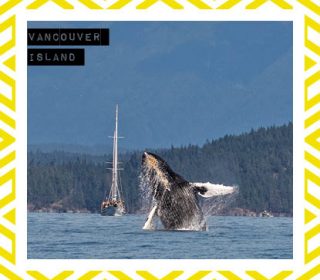 A local’s guide to Vancouver Island