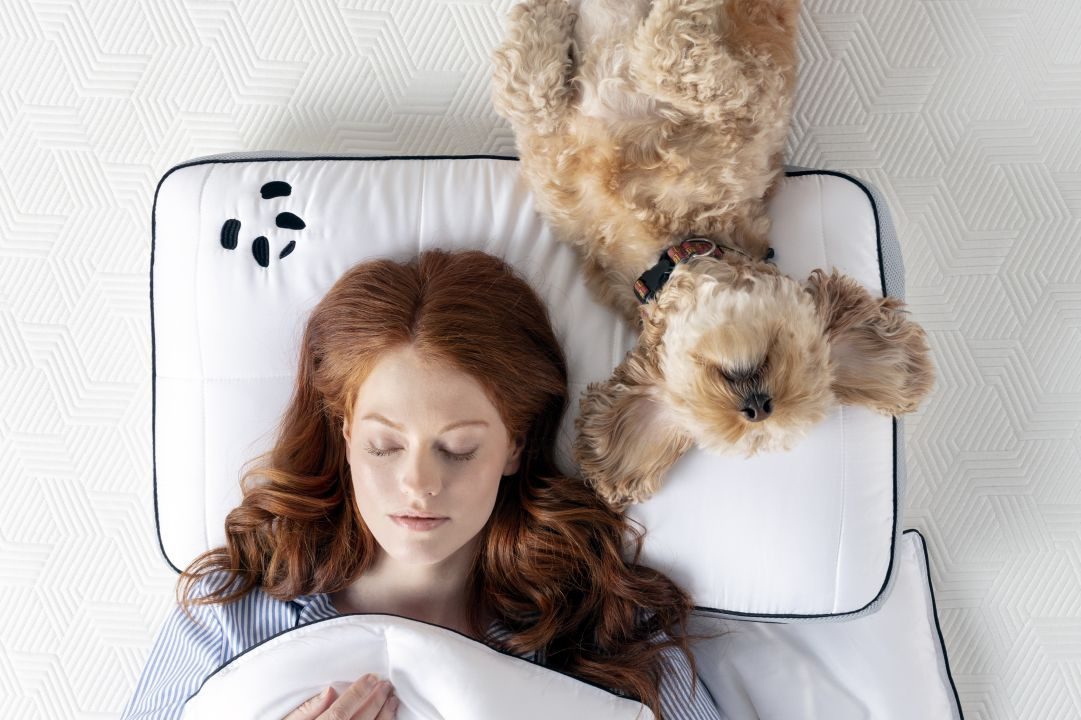 Win one of three pairs of memory foam bamboo pillows with Panda London!