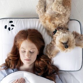 Win one of three pairs of memory foam bamboo pillows with Panda London!