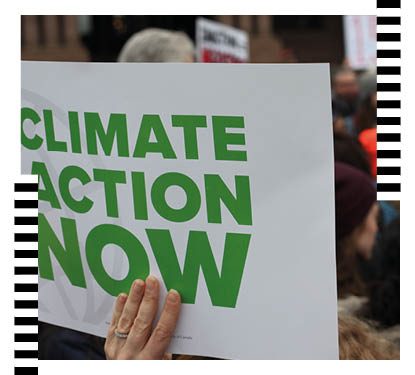 Quiz: How much do you know about the environment?