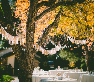 Your green guide to organising an eco-friendly wedding