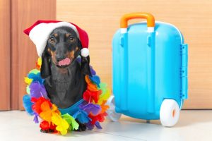 10 Last-Minute Travel Hacks for the Spontaneous (and Smart) Traveller