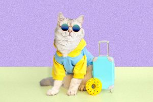 10 Last-Minute Travel Hacks for the Spontaneous (and Smart) Traveller