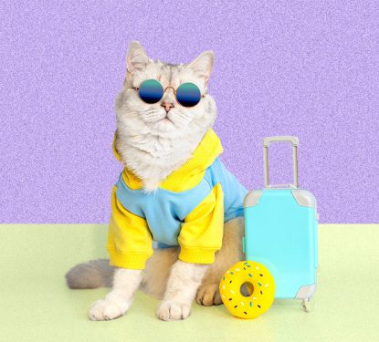 10 Last-Minute Travel Hacks for the Spontaneous (and Smart) Traveller