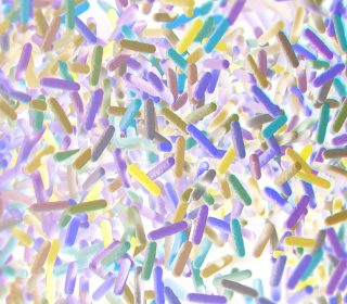 Why is everyone talking about the microbiome?